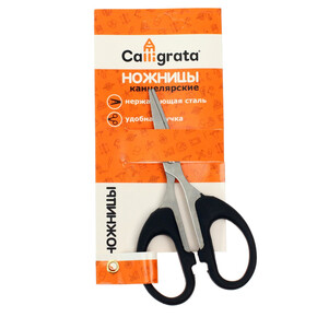 Ножницы 12 см 