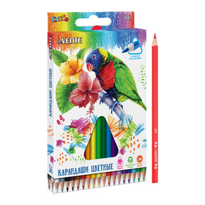 Карандаши цветные набор 36цв., deVente 