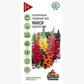 Семена цветов Антирринум Львиный зев Макси микс* 0,1 г (1*10)