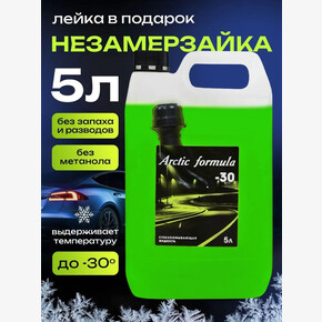 Жидкость стеклоомывающая- незамерзающая , 5л (-30) ULTRA Arctic Formula (канистра с лейкой) (1*1)